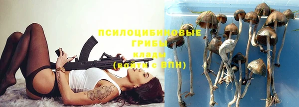 PSILOCYBIN Алзамай