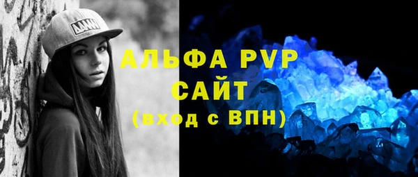 шишки Абаза
