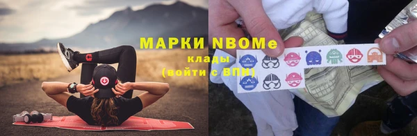 PSILOCYBIN Алзамай