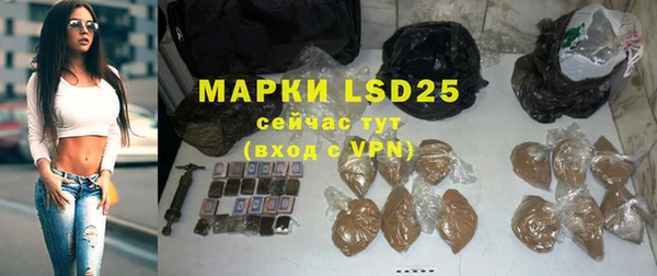 PSILOCYBIN Алзамай