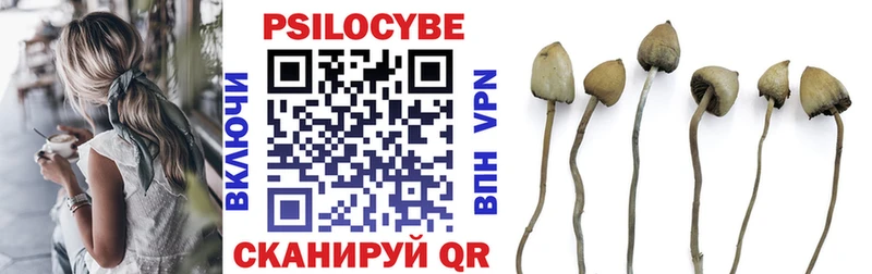 купить наркотик  Ивангород  Галлюциногенные грибы Psilocybine cubensis 